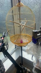 bird cage  only used for 3 days  like brand new