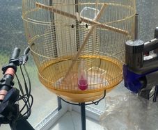 bird cage  only used for 3 days  like brand new