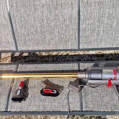 Dyson V11