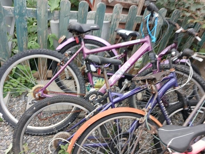 bikes