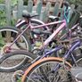 bikes Image 7