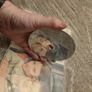 Little man Tate dvd Image 3