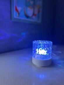 sea projector