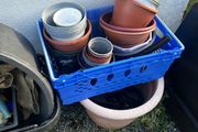 Garden bed