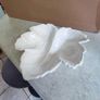Set Of 2 Lovely White Leaves Dish Made By La Cartuja De Sevilla Pickman S.a. Made In Spain Image 4