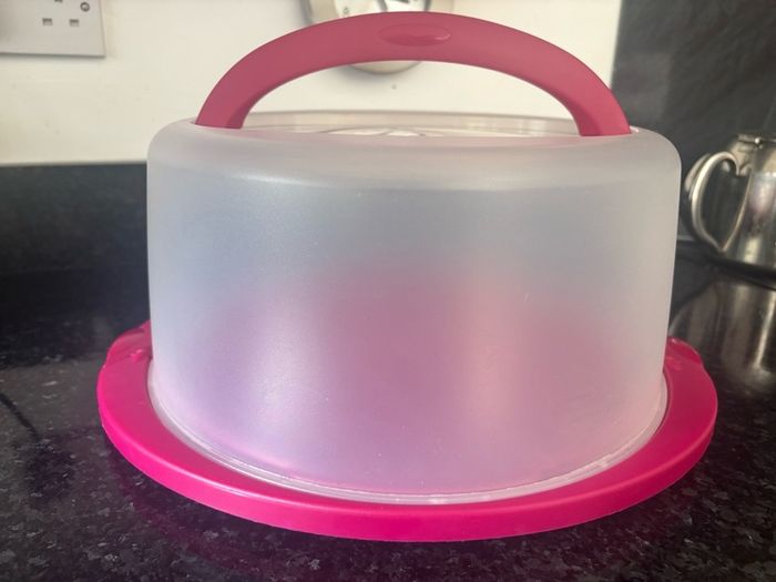 Cake Transporter/ Case