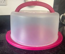 Cake Transporter/ Case