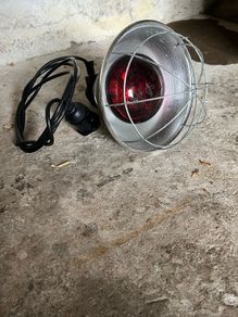 Heat Lamp