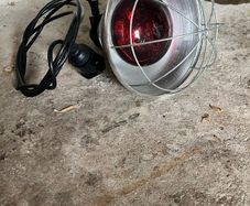 Heat Lamp
