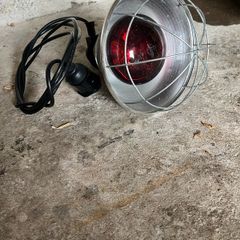Heat Lamp