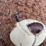 Build A Bear BABW Harry Potter Brown Bear approx. 18" Plush Used Damaged nose Please see photos Image 5