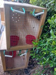 Dog Crate