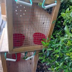 Dog Crate