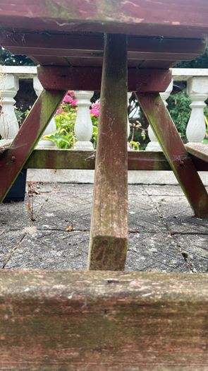 Picnic Bench