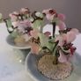 Two Jade Bonsai Trees Image 10