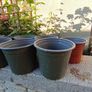 11x plastic plant pot Image 4