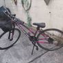 Hybrid Bikes. His and Hers Image 3