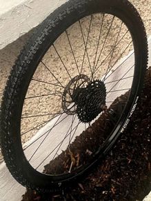 8spd 29er mountain bike wheel.