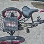 20 inch trike Image 2