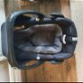 maxi cosi car seat Image 3