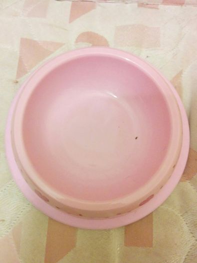 Small dog bowls