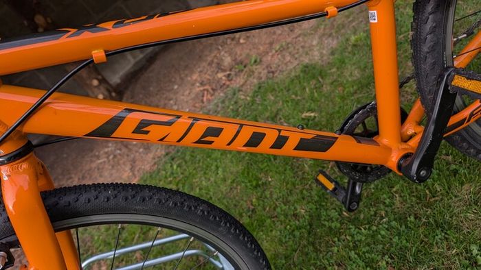 Giant Arx 24 kids bike