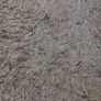 rug Image 2