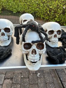 Skulls and Spiders Job Lot.