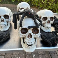 Skulls and Spiders Job Lot.
