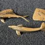 3 brass animals. Solid brass. Image 2