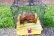 hamster cage