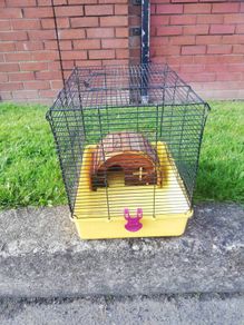 hamster cage