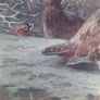 Vintage print Image 3