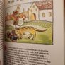 Aesops Fables In William Caxton. Original Illustrated Edition  Edited By Bamber & Christina Gascoigne. Hardback With Dustjacket In Good Condition. Image 8