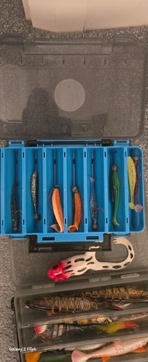 Fishing