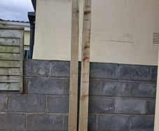 timber