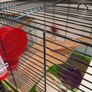 Hamster Cage and Accessories Bundle Image 4