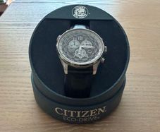 Citizen Eco-Drive WR100 Watch