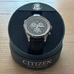 Citizen Eco-Drive WR100 Watch