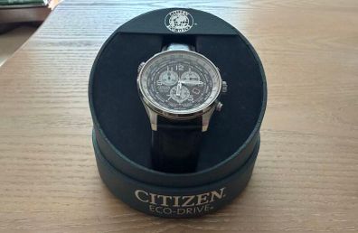 Citizen Eco-Drive WR100 Watch