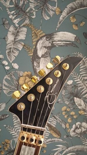 Peavey Rotor EXP - Schaller FR