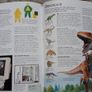 Children's Encyclopaedia Image 4