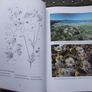 1996 "The Wild Plants of Sherkin, Cape Clear and Adjacent Islands of West Cork" edited by John Akeroyd Image 8