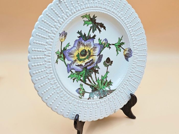 Cauldon England Collectible Botanical Plates , Decorative Plate