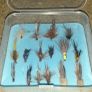 Fishing Image 2