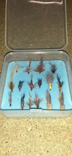 Fishing
