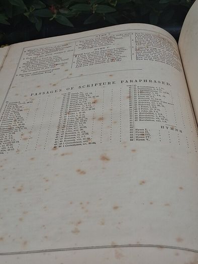 19th Century Family Bible (13x11 inches)