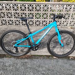 Childs Bicycle - Orbea MX 24