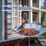 26 Inch Height Glass Bird Baths Birdfeeders with Metal Stake for Garden Lawn Yard Peacock MULTIPLE DESIGNS AVAILABLE (FREE POSTAGE) Image 6