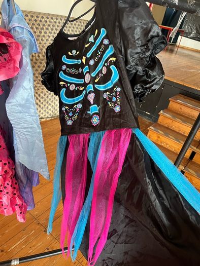 Girls dress up costume